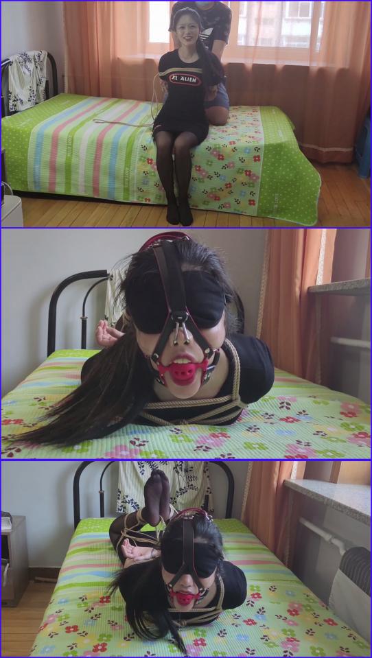 玩奴原创之黑丝美女诺诺初绑驷马调教，强制带鼻钩，严厉马具口球，崩溃尖叫无用！交流购约绑教程请加805351328。 解压密码<span style='color:#b0b0b0;'>[隐藏文字，购买后可见]</span>感谢各位的支持，本次带来美女小舔犬诺诺的初绑严厉分腿驷马， 妹子很调皮，不过绑完之后变乖了许多，不过强制带鼻钩之后还是崩溃了，发出呜呜的叫声，<br>虽然蒙着眼，但是也明显感觉到了哭腔。肯定是后悔来约绑了，妹子的声音甜美，敬请欣赏！<br>另外为了方便各位同好约绑，博主最近推出了一个非常详细的约绑教程。里面有非常详细的从零基础开始教大家如何认识妹子，如何与妹子沟通等等。非常的实用，有兴趣的各位同好加805351328咨询。<br>下载操作：<br>1、电脑下载<br>2、解压<br>3、将压缩包内rar文件名后缀修改为mp4。<br>目前博主已经出了五个系列，分别是绝对真实调教系列，真实约拍系列，口水囚徒系列，紧缚实验室系列以及新出的美人小舔犬系列都非常精彩，各种元素满满，希望各位同好多多支持！<br>推特可以关注024玩奴原创。<br>