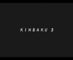 KINBAKU-3 办公女职员的职业装捆绑
