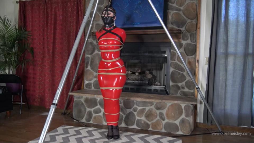Serene Isley : Red Hobble Dress and Lots of Bondage Serene Isley is dressed in a form fitting pvc hobble dress. Her arms are tightly bound behind her back in a leather armbinder. A collar keeps her head in an upright position. Her mouth is sealed from a leather head harness gag which is also tied off to the top of a rack to keep her in one position. She gingerly spins in a circle to give you a full view of her bondage as it is now. <br><br> <br><br>Rope is cinched up and down Serene's already hobbled body, restricting what little movement she did have. As she is now, Serene would make a wonderful ornament under anyone's kinky Christmas tree.<br><span style='color:#b0b0b0;'>[隐藏文字，购买后可见]</span>