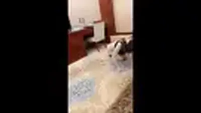 【暖阳S】 暖阳 调教女奴 踩踏 舔脚  遛狗 标题 【暖阳S】 暖阳 调教女奴 踩踏 舔脚  遛狗<br>原创者：套路直播<br>购买地址：<span style='color:#b0b0b0;'>[隐藏文字，购买后可见]</span><br>剧情 暖阳女王调教女奴，花样不少，希望大家喜欢