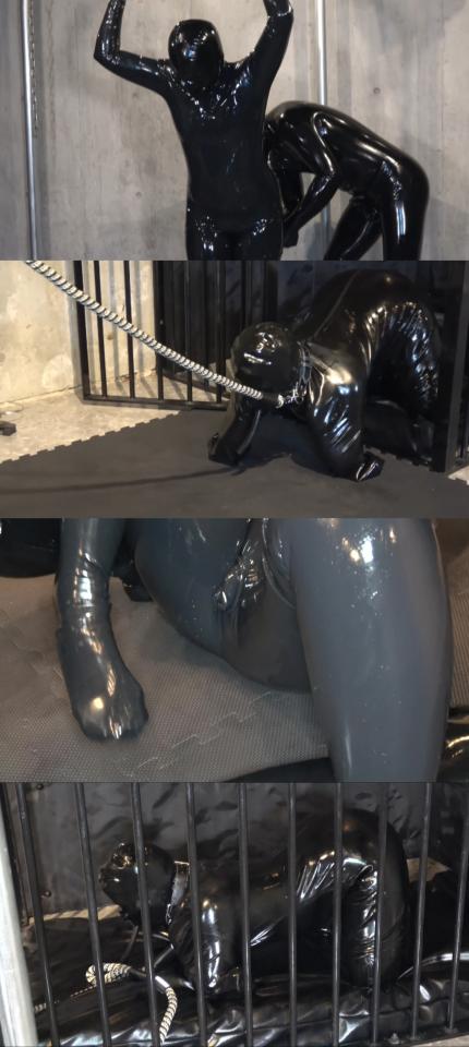 （去掉了）Rubber Mamia Fantasy〜ラバーペットを好き放題バルーマスクにラバードック〜 作者/导演監督：ラバけん <br>商品信息：淫蘭なラバーガールをとある地下室でラバーマンの性欲を満たすためだけに、バルータオルを被せた全包乳胶衣ままの激潮しづらい中でのラバー着ぐるみセックスや人としてではなくペットとして犬のように飼われ続ける。<br>In order to satisfy the sexual desire of the lover man in a certain basement with a harsh lover zentai girl, it is kept as a pet as a pet not sex as a lover wearing sex with the barge kigurumi as for the sex of the clothes wearing the barge towel.<br>贩卖店铺：Rubber Lover<br>シリーズ/标签：ラバードッグ/人犬/ラバー/rubber latex <br>ファイル：mp4<br><br>备份网盘，双层压缩，自行改后缀为mp4<br><br>产品号码/番号：<span style='color:#b0b0b0;'>[隐藏文字，购买后可见]</span><br>购买地址<span style='color:#b0b0b0;'>[隐藏文字，购买后可见]</span>