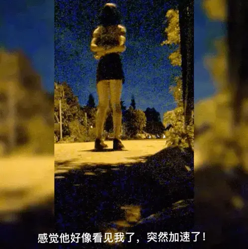 [ropechacha茶茶]【户外】【自缚露出】三段户外自缚！两次差点被发现！【原声】【不要在线解压，下载改后缀.mp4】 第一段是刚走出来，发现一个大哥走过来了！可是已经来不及走了！<br>第三段是露出一半突然有车过来，还来找我！还捡起了我的遥控器，后来。。。。