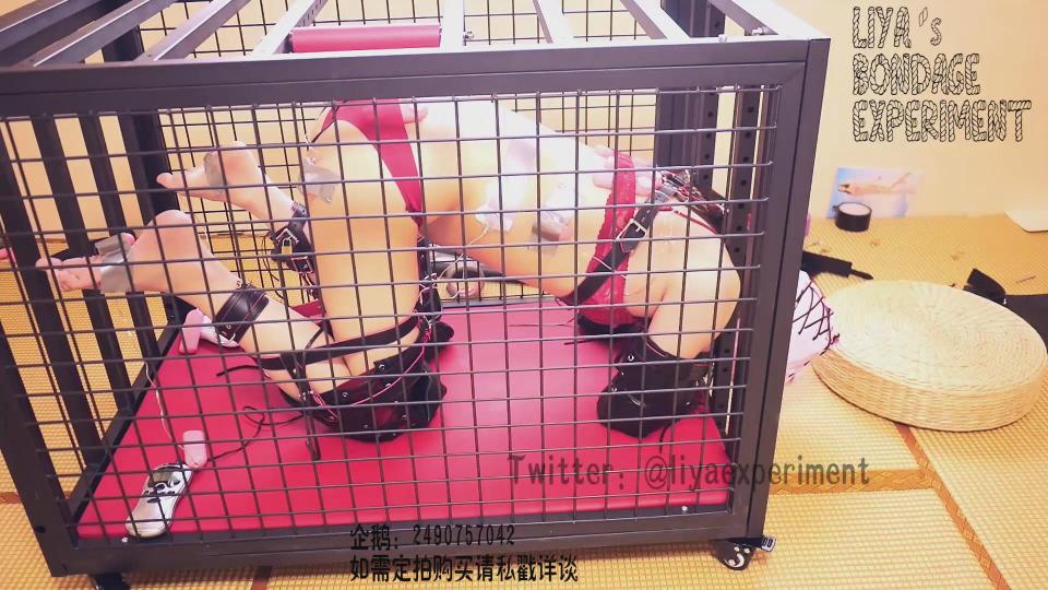 【莉雅的定拍之作】极限调教系列（二）		女王S调教双M-工作室首次大尺度		大尺度高强度调教双人【PS:视频比截图更精彩】 编号：liya-dp-126<br>红色内衣M：披萨<br>白色内衣M：莉雅<br>女王S：嘤嘤怪<br>内容简介：<br>电击[不可描述]、紧缚、皮鞭、刺轮、拘束带、手铐、手套、头套、[不可描述]、笼子禁锢<br>剧情简介：<br>一位女S极限调教两只只穿着内衣小M<br><br><br>视频尺寸：1920*1080<br>视频大小：2160M<br>视频时间：01:33:49<br>百度云使用说明：<br>1、复制链接<br>2、打开手机百度云<br>3、将百度云弹出的文件保存在自己的网盘<br>4、下载压缩包<br>5、关闭百度云打开解压缩全能王(请苹果手机用户自行百度选择软件)<br>6、解压缩<br>7、检查解压后的文件后缀名是否为MP4，不是则改为MP4<br>解压密码：liya<br><br><br>如有定拍或其他需要请联系工作室2490757042<br><br>众筹链接：<br>多人：【多种工具SP】【多种姿势】【2人各三套不同的服装】<br>https://www.yaohuba.com/user_script_detail.php?article_id=884&user_script_id=509<br>莉雅：【紧缚实验】【紧缚挑战】<br>https://www.yaohuba.com/user_script_detail.php?article_id=869&user_script_id=496<br>莉雅：【众筹】【COSPLAY】剧情、角色征集<br>https://www.yaohuba.com/user_script_detail.php?article_id=742&user_script_id=388<br>莉雅：【cosplay】【紧缚、挣扎、逃脱】【蕾姆】<br>https://www.yaohuba.com/user_script_detail.php?article_id=743&user_script_id=389<br>莉雅：【舰娘】【监禁】【吊缚】【cosplay】<br>https://www.yaohuba.com/user_script_detail.php?article_id=764&user_script_id=405<br><br>更多好看的视频请戳我   <br>