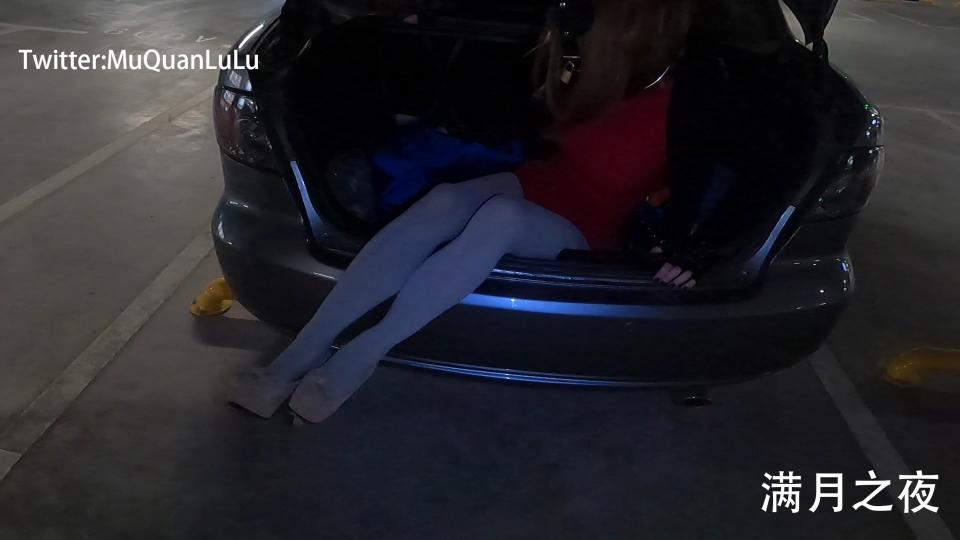 满月之夜 后备箱运输 完成版 完整版的后备箱运输。使用铁链封死袋口，装进后备箱里进行市内运输。现在这个温度玩还是偏热，出来之后身上几乎都是汗，天气冷一点之后再玩会比较舒适。分辨率1920*1080，60帧，11分5秒。运输途中没什么好拍的，所以只记录了进后备箱和出后备箱的过程。