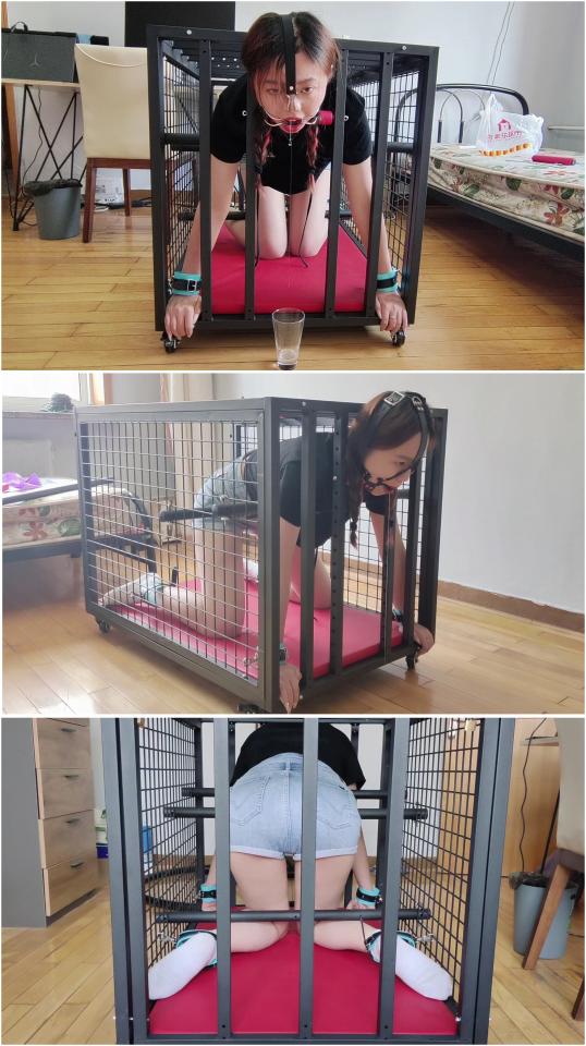玩奴原创之新玩法狗趴式口水囚徒瑶瑶妹，白棉袜铁笼囚禁，口水爆量无法控制！交流购约绑教程请加805351328 解压密码<span style='color:#b0b0b0;'>[隐藏文字，购买后可见]</span>感谢各位对博主的支持！这次带来一个新玩法，瑶瑶妹子狗趴式被囚禁在铁笼之中，两腿强制分开，金属杆牢牢固定无法动弹，玻璃杯超长时间收集口水。这个妹子的口水可以说是爆量而且根本无法控制，效果拔群！<br>如果能娶到这个妹子的兄弟应该有福了，大家懂的hhh！<br>另外为了方便各位同好约绑，博主最近推出了一个非常详细的约绑教程。里面有非常详细的从零基础开始教大家如何认识妹子，如何与妹子沟通等等。非常的实用，有兴趣的各位同好加805351328咨询。<br>下载操作：<br>1、电脑下载<br>2、解压<br>3、将压缩包内rar文件名后缀修改为mp4。或者直接用播放器打开。<br>目前博主已经出了五个系列，分别是绝对真实调教系列，真实约拍系列，口水囚徒系列，紧缚实验室系列，美人小舔犬系列以及最新出的高颜值系列都非常精彩，各种元素满满，希望各位同好多多支持！<br>推特可以关注024玩奴原创。本频道提倡健康积极的绳艺亚文化，目的是给生活增添一些情趣，谢谢大家！神秘企划筹备中！<br>