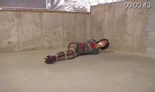 Carmen Im Gonna Make Some Calls And You Are Gonna Stay Here Carmen Im Gonna Make Some Calls And You Are Gonna Stay Here