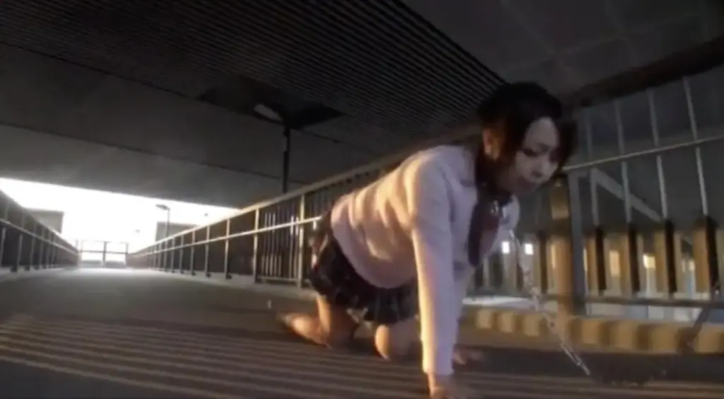 牝犬悦楽 野外お散歩調教 05 まりか 识别码:<span style='color:#b0b0b0;'>[隐藏文字，购买后可见]</span><br>发行日期:2012-03-20<br>长度:139 分钟<br>导演:----<br>制作商:プールクラブ・エンタテインメント  <br>发行商:PASSION  	<br>类别:户外 羞耻 灌肠 调教 潮吹	<br>演员:まりか Marica Hase<br>剧情：小m户外犬奴调教，在家是个做家务的小女仆。<br>购买链接：<span style='color:#b0b0b0;'>[隐藏文字，购买后可见]</span>