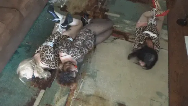 TRIFECTA HOGTIED_HD Hot blonde Whitney Morgan, sexy Latina Enchantress Sahrye and I accept a bondage modeling gig that I found on Craig's List.  It was described as an easy hour with Jim Hunter showing a new rigger named Orion the ropes. We show up looking super hot in our matching leopard tight mini dresses thinking this would impress them and that we'd milk them for their money.  Instead the minute the hour begins, Jim crushes my elbows together and binds them tightly together.  He explains how to cinch the rope as Orion practices his tying skills on Sahrye.  Whitney watches with relief that neither is touching her since this tight bondage is not what we agreed to.  Hunter uses my body to show Orion how to do a pussy splitting tight crotch rope pulling the crotch rope through our wrists painfully tight eliminating the use of our hands. Whitney begins to get really nervous and when the three of us protest Jim shoves a huge ballgag between my lips to silence me. He helps Orion with curvy Sahrye's double strap ballgag and the drool immediately begins to run out of her mouth. He pushes us down onto the ground and they both cross our ankles and bind them tightly finishing with a brutal hogtie. Whitney decides this isn't for her and she runs to the door, but Hunter grabs her and wrestles her arms behind her back quickly binding them super tight. The beautiful blonde kicks and struggles, but she is no match for Hunter and he takes control shoving a ballgag into her mouth as he continues tying her up and laying her down on the floor next to me and Sahrye. Once all three of us are tightly hogtied, Jim and Orion go off to have a beer leaving us struggling  helplessly bound and gagged side by side .<br><br><span style='color:#b0b0b0;'>[隐藏文字，购买后可见]</span>