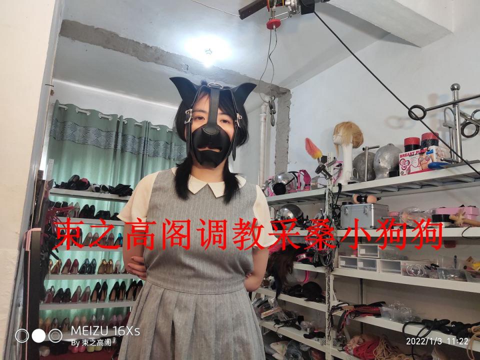 束之高阁调教采桑小狗狗 原创束之高阁回来了，最近抓住女奴小采桑，准备培养成小狗狗，戴上可爱的小狗头，被关在笼子里，强迫学习松鼠扒松子，扒好就被抢走，无奈又无助