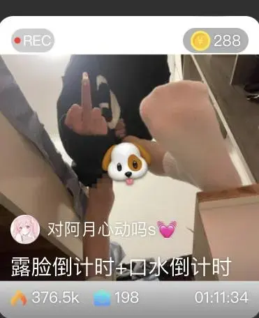 【阿月S】第一视角-露脸倒计时+口水倒计时 【阿月S】第一视角-露脸倒计时 口水倒计时<br>购买地址<span style='color:#b0b0b0;'>[隐藏文字，购买后可见]</span><br>原创者：套路直播