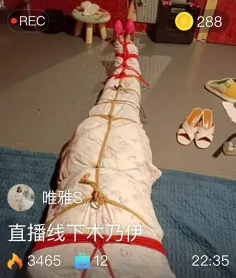 【唯雅S】直播线下木乃伊 【唯雅S】直播线下木乃伊<br>创作;【唯雅S】<br><span style='color:#b0b0b0;'>[隐藏文字，购买后可见]</span>
