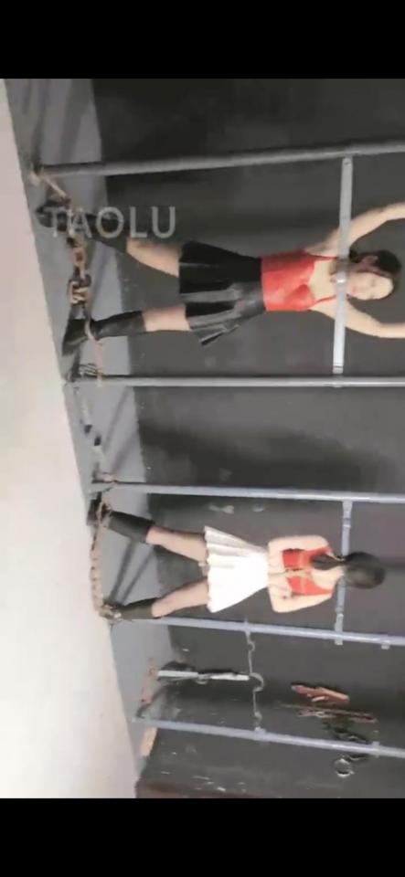 美女朱婷婷 柳絮紧固现场 套路视频<br>一绳有你<br>购买链接：<span style='color:#b0b0b0;'>[隐藏文字，购买后可见]</span><br>购买截图下面