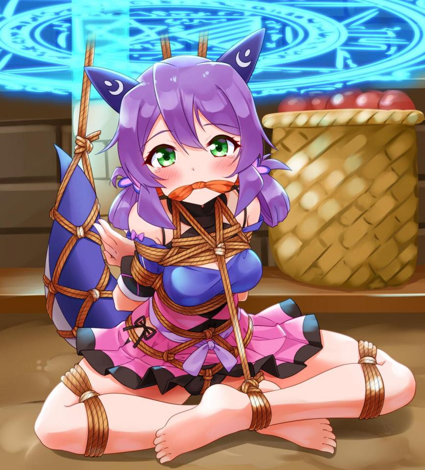 杂图 [Boxtie,Necomimi,Gag,Breast bondage,Japanese Anime,Tail]