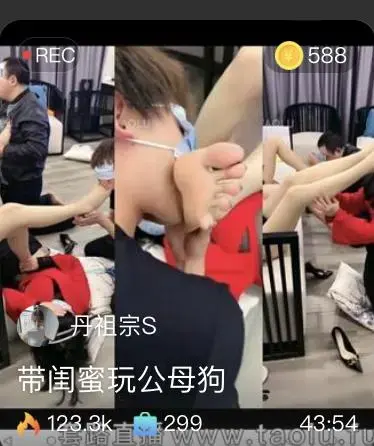 【丹祖宗】双s玩公母狗，双女神生活化家奴【莫妮卡S】 【丹祖宗】双s玩公母狗，双女神生活化家奴【莫妮卡S】<br>原创者:套路直播<br>购买地址<span style='color:#b0b0b0;'>[隐藏文字，购买后可见]</span>