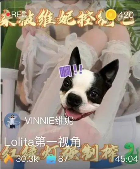 【VINNIE维妮】第一视角-Lolita第一视角，红绿灯强制榨  【VINNIE维妮】第一视角-Lolita第一视角，红绿灯强制榨 <br>创作;【VINNIE维妮】<br><span style='color:#b0b0b0;'>[隐藏文字，购买后可见]</span>