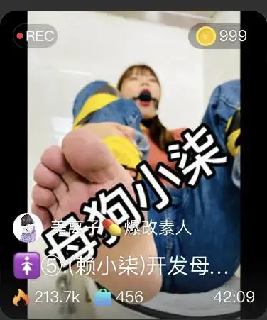 【美离子】超美母狗-捆绑堵嘴强制开发圣水 【美离子】超美母狗-捆绑堵嘴强制开发圣水<br>原创者：套路直播<br>购买地址<span style='color:#b0b0b0;'>[隐藏文字，购买后可见]</span>
