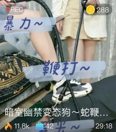 【绵绵兔】暗室幽禁变态狗~蛇鞭暴力抽~【红杉S】 【绵绵兔】暗室幽禁变态狗~蛇鞭暴力抽~【红杉S】<br>创作;【绵绵兔】<br><span style='color:#b0b0b0;'>[隐藏文字，购买后可见]</span>