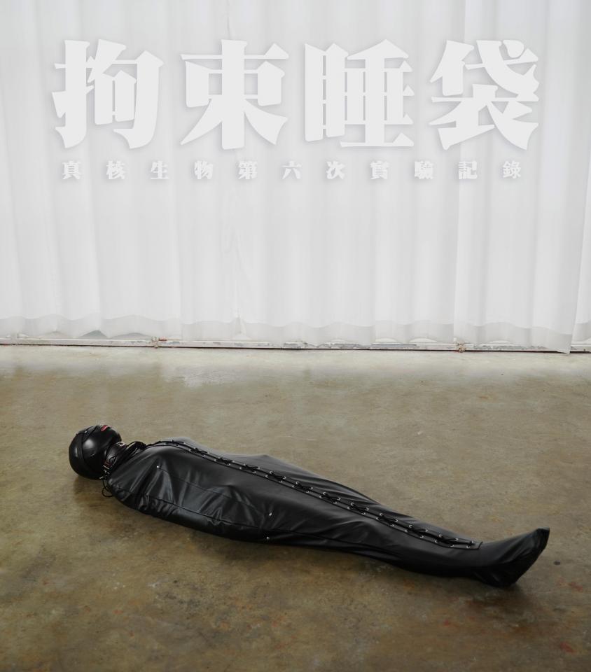 -真核生物-第六部- 致敬《道具箱》，将可爱的妹子装入皮革拘束睡袋和丝袜睡袋，加上眼罩与口枷，皮革头套 各位，我是真核生物中的瘟疫菌，这次依旧是上次黑色Zentai的妹子。<br>在上部拍摄完之后，又再把妹子装进了准备好的皮革拘束睡袋。<br>这部片致敬于日本一部作品《道具箱》的第一幕，一个可爱的妹子被装在皮革睡袋后丢置在空阔的客厅。<br>刚好工作室的场地开阔，非常适合拍这个题材，于是就模仿了一次。<br>这次仓促只准备了某宝上现货的皮革睡袋，效果还算不错，等下次会定制一个真正严实拘束的皮革睡袋。<br>妹子进睡袋后完全没有活动空间，给她戴上口枷也是只能乖乖接受。<br>戴上了口枷后，妹子本来不大的口腔完全被口球填满，只能发出微弱的支吾声音，柔柔的非常动听。<br>再给她套一层丝袜睡袋，多层的紧致感十分好。<br>置入必不可少的震动道具，去刺激这位敏感的可爱妹子，看着睡袋卷动和打滚，听着她哼出[X_X]的口申口今。<br><br>操作步骤：下载 > 解压 > 将.html改为.zip > 再解压 > 获得影片<br>解压密码购买后可见<br><span style='color:#b0b0b0;'>[隐藏文字，购买后可见]</span>