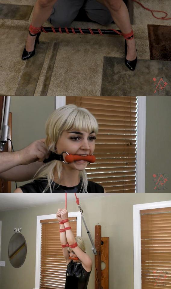 Bondage Junkies: Lоlа vs. А Littlе Lift categories: device, latex-rubber, rigging, rope, spreaderbar<br>Keywords: bondagejunkies, bondage, rope bondage, shibaru, suspension, belts, bedtie, hogtied, tight bondage, strict bondage, bound elbows, struggling, ballgagged, helpless.<br><br><span style='color:#b0b0b0;'>[隐藏文字，购买后可见]</span>