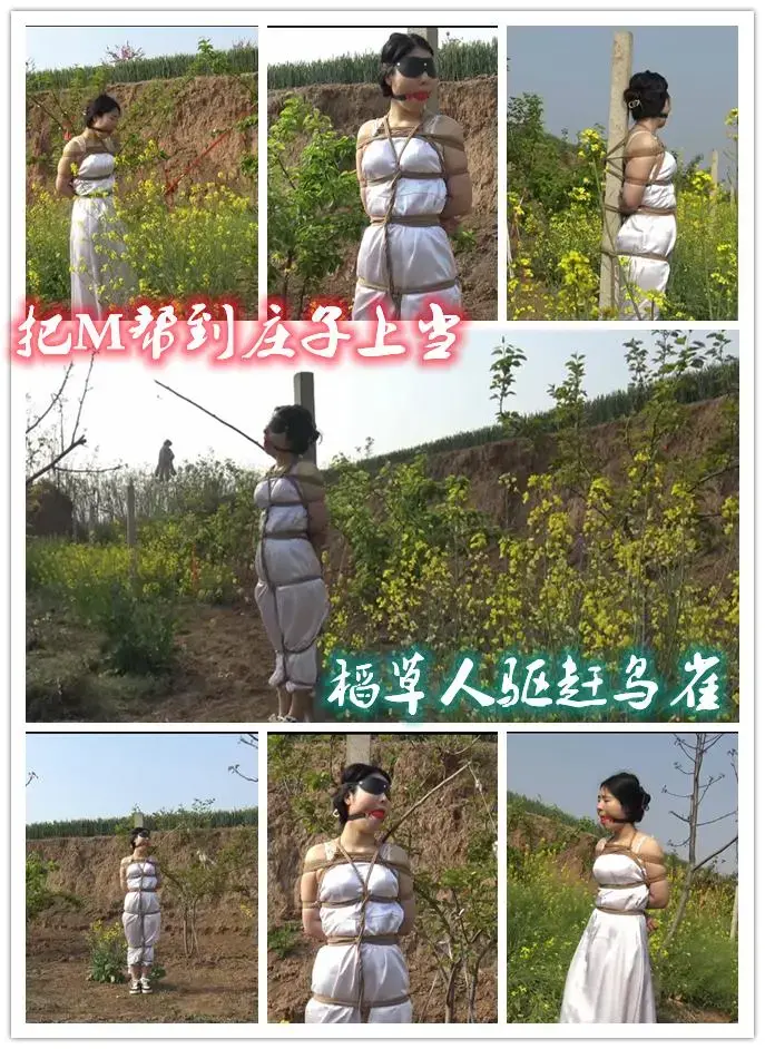 把M绑到庄子上当稻草人驱赶鸟雀  心血来潮把M野外游玩，带到野外麦地把M绑到庄子上充当稻草人驱赶来的鸟雀，看着不要鸟雀来偷吃麦子，有了人形稻草人看鸟雀还敢偷吃麦子吗，请欣赏视频QQ342642509    