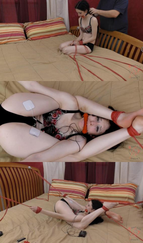 Bondage Junkies: Rаvеn vs. Неr Рrеtzеl Situаtiоn Categories: predicament, rope, electricity, bitgag<br>Keywords: bondagejunkies, bondage, rope bondage, shibaru, suspension, belts, bedtie, hogtied, tight bondage, strict bondage, bound elbows, struggling, ballgagged, helpless.<br><span style='color:#b0b0b0;'>[隐藏文字，购买后可见]</span>