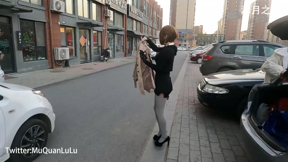 满月之夜 后备箱捆绑运输 放弃作为人的属性，变成一块被捆扎好的肉块。双手反绑双腿折叠，像货物一样被塞进后备箱里运输。<br>风衣、灰丝、狗项圈、高跟鞋 缸塞跳弹的组合<br>视频时长53分26秒，分辨率1920*1080，50帧，4.77GB<br>如果视频链接被和谐可以使用备用分卷压缩包链接<span style='color:#b0b0b0;'>[隐藏文字，购买后可见]</span>