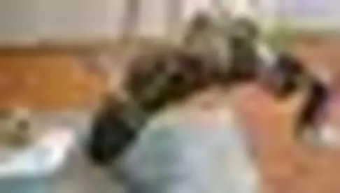 韩露今天无聊来体验店玩吊绑 韩露今天无聊来体验店玩，想玩绳子，尝试了一下悬吊。视频解压密码：chuxin -        -<br>一绳所爱绳艺体验店面向全国爱好者开放，本店提供绳艺捆绑模特服务、体验女绳师捆绑服务、体验长时间囚禁服务、绳艺教学培训、绳艺交流会、场地出租、专业麻绳销售，原创视频套图销售、作品私人定制、模特原味丝袜出售等，另外本店招募同好合作伙伴。微信：351552501初心<br>