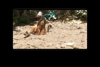 流砂の泥棒  Thief in Quicksand 流砂の泥棒  Thief in Quicksand