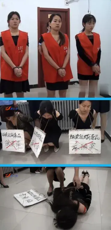 YSG-NO2022斩毒行动（下） YSG-NO2022斩毒行动（下）<br>创作：雅俗阁<br><span style='color:#b0b0b0;'>[隐藏文字，购买后可见]</span>