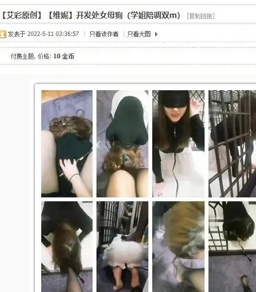 【维妮】开发处女母狗（学姐陪调双m） <span style='color:#b0b0b0;'>[隐藏文字，购买后可见]</span><br>【维妮】开发处女母狗（学姐陪调双m）