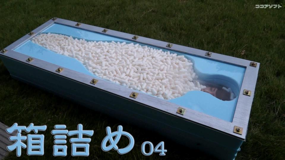 箱詰め04 将女子装在透明的箱子里，带到户外，作为行李携带！<br>日本法律禁止载人驾驶。<br>部分视频为虚构。<br><br>女性を箱に詰め、野外に持ち出し、荷物として運搬！！<br>トラックの荷台に、人を乗せて運転する事は日本の法律で禁止されております。<br>映像の一部はフィクションです。<br><br><span style='color:#b0b0b0;'>[隐藏文字，购买后可见]</span>