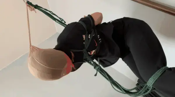 玩奴原创之可爱妹子日式立缚丝袜套头逃脱实验，丝巾封嘴，绝望激烈挣扎!交流购约绑教程请加1152327635。 解压密码<span style='color:#b0b0b0;'>[隐藏文字，购买后可见]</span>感谢各位的支持！本次的话又到了考验博主捆绑技术的时候了，其实这样的实验多做也好，博主可以在这之中进行研究，以便于开发更加实用极紧的捆绑。首先把妹子日式后手绑紧之后，吊起来，丝巾堵嘴丝袜套头，最后把腿和上身绑在一起吊起，接下来就是让她尽力脱缚了，敬请欣赏！<br>另外为了方便各位同好约绑，博主最近推出了一个非常详细的约绑教程。里面有非常详细的从零基础开始教大家如何认识妹子，如何与妹子沟通等等。非常的实用，有兴趣的各位同好加1152327635咨询，备用805351328。<br>目前博主已经出了五个系列，分别是绝对真实调教系列，真实约拍系列，口水囚徒系列，紧缚实验室系列，美人小舔犬系列以及最新出的高颜值系列都非常精彩，各种元素满满，希望各位同好多多支持！<br>推特可以关注浅神。本频道提倡健康积极的绳艺亚文化，目的是给生活增添一些情趣，谢谢大家。备用联系方式qq805351328。<br>下载操作：<br>1、电脑下载<br>2、解压<br>3、将压缩包内rar文件名后缀修改为mp4。
