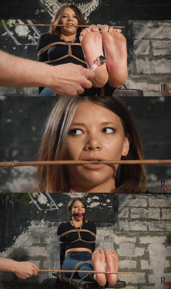 RussianFetish: Betty - First soles (FULL HD MP4) Betty is sitting on the bench. Her bare feet are facing the camera. She is tied up with ropes. Her hands are tied behind her. Her elbows are tied with a rope to her chest. Her legs are tied at the ankles and tied to the bench. Her big toes are tied together by a string. She has a bamboo stick in her mouth. She waits...<br>I walk up and start hitting her bare soles with a flogger, I hit her hard. Betty wasn't morally ready for that. Her mood changes with each new strong blow, she endures. I take a spiny roller with sharp needles and drive it on her foot, I push hard and she moans and screams. Afterward, I take the flogger again and hit her feet. A tear runs down her cheek. I gag her mouth with a big ballgag and continue bastinado with a bamboo stick. Periodically, I make her count the blows and zero the score when she's wrong.<br>She doesn't like what I do with her feet, but she tolerates it, sometimes looking at me. I take the spiny roller again and continue to her soles.<br>I suggest her to choose the last device. Between the whip and the stick, she makes a choice. She is wet with tears, sweat, and drool. I beat her hard again. When her foot is over, I step aside and let her cool down a little bit. It was a new experience for her.<br><br>More clips with Betty:<br>Betty in a weird skateboarding club. Her first lesson (FULL HD MP4)<br>Betty hogtied on the turntable (FULL HD MP4)<br>Category: BASTINADO<br>Related Categories: BDSM, BALLGAGGED, BONDAGE, SOLES, BASTINADO.<br>Keywords: girl next door, falaka, bench, sole whipping, toe tied, tied, no nudity, flogger, first time bastinado, feet caning, long clip, foot punishment, clip by john, betty, bondage, rope bondage, shibaru, suspension, belts, bedtie, hogtied, tight bondage, strict bondage, bound elbows, struggling, ballgagged, helpless.<br>类别：巴斯蒂纳多<br>相关类别：BDSM，BALLGAGGED，束缚，鞋底，BASTINADO。<br>关键词：邻家女孩，法拉卡，长凳，鞋底鞭打，脚趾绑，绑，不裸露，鞭打，第一次巴斯蒂纳多，脚鞭，长夹，脚惩罚，约翰剪辑，贝蒂，束缚，绳索束缚，shibaru，暂停, 腰带, 睡衣, hogtied, 紧束缚, 严格束缚, 束缚手肘, 挣扎, 缠结, 无助。<br><br>