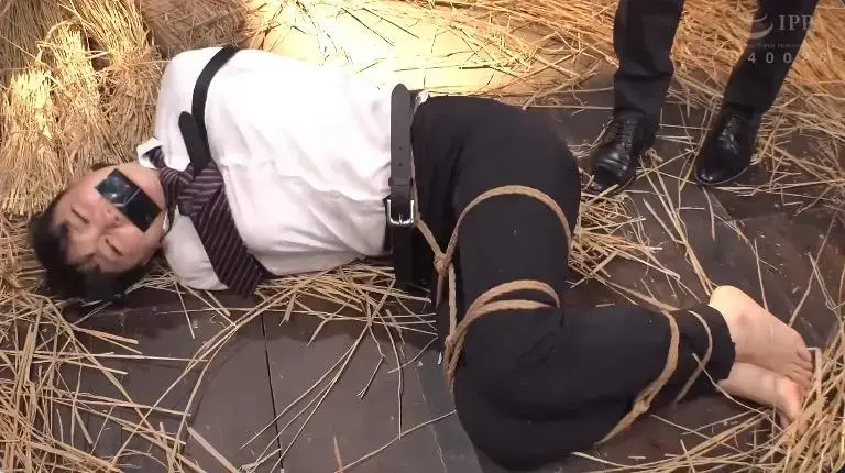 〆豚小屋 女体家畜PLANT 识别码:<span style='color:#b0b0b0;'>[隐藏文字，购买后可见]</span><br>发行日期:2022-08-16<br>长度:101 分钟<br>导演:ノーマルKIM  <br>制作商:Dogma  <br>发行商:Dogma  <br>类别:拘束 单体作品 绳缚 深喉 监禁	<br>演员:最上一花 <br>剧情：一个把美女变成家畜的禁闭室“猪窝”。一个漂亮的女学生被绑架关在那里，她的衣服被撕破，四肢被束缚。