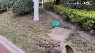 小黑的解忧工作室（第三期）：送跑步的姑娘一次足底按摩 哔哩哔哩小黑解忧工作室出品，搭讪正在跑步的运动鞋妹子，最后成功按脚
