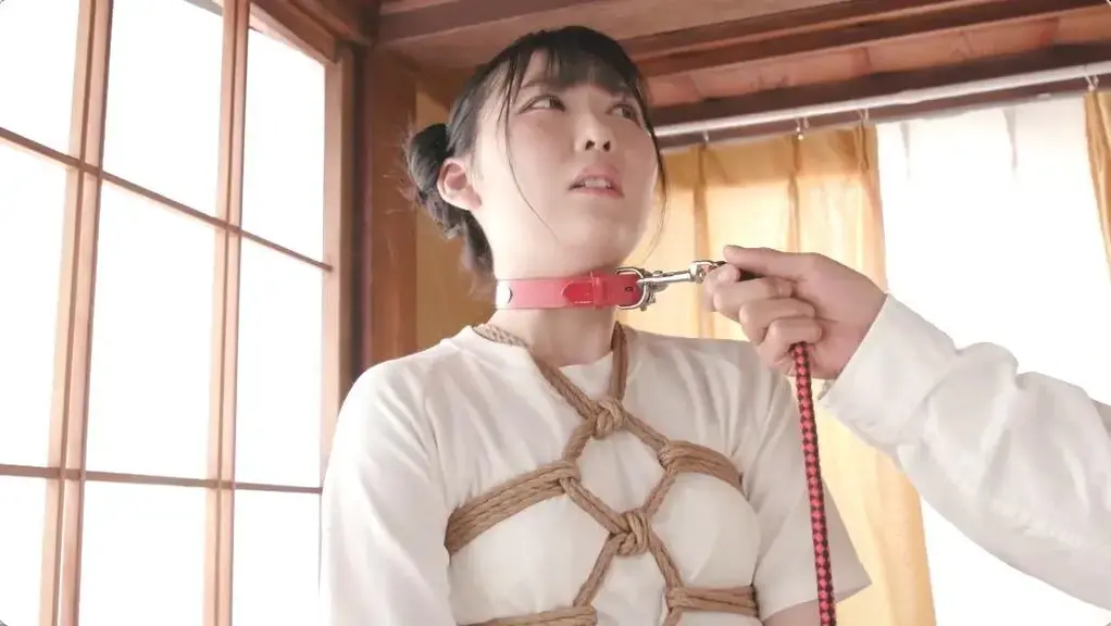  蔵の中で緊縛調教される女子校生 父の借金が原因で生贄となった儚き純粋娘 絶望の縁で犯され未知の快楽に悶える縄遊戯 涼花くるみ 识别码:<span style='color:#b0b0b0;'>[隐藏文字，购买后可见]</span><br>发行日期:2022-09-13<br>长度:130 分钟<br>导演:赤羽菊次郎  <br>制作商:グローバルメディアアネックス  <br>发行商:グローバルメディアアネックス  <br>类别:单体作品 绳缚 凌辱 校服 监禁	<br>演员:涼花くるみ 	<br>剧情：在仓库接受SM训练的女学生，因父亲的债务而被牺牲。