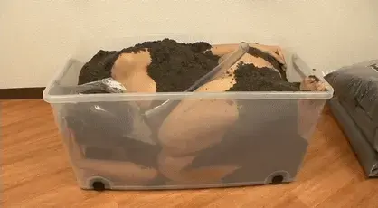 砂の中 砂の中 in the sand <br>女人被关在一个装着“沙子”的盒子里，用胶带将她完全束缚，永远无法从里面打开，这就是内容。<br>这段视频是虚构的，将一个装在盒子里的“人”实际委托给一家运输公司，是非常危险的行为。永远不要模仿。<br>编号<span style='color:#b0b0b0;'>[隐藏文字，购买后可见]</span>  解压码 <span style='color:#b0b0b0;'>[隐藏文字，购买后可见]</span>