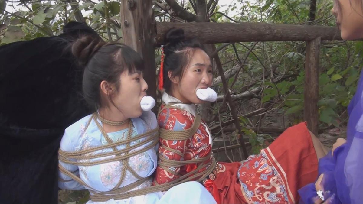 古装第二弹  雅俗阁定制《女神捕之荡寇风云》上  拍摄的第二部古装的片子，可以说是女神捕的第二部，采用了飞鱼服的造型。如果反向好或者有什么好的想法可能会拍成系列。介绍：明万历年间，东南沿海一带常有妇女失踪之事，朝廷怀疑与倭寇有关，派女神捕上官飞燕前去调查，经过一番调查之后将目标锁定到了飞凤帮的身上。神捕抓获飞凤帮的帮主后，被其手下以人质威胁抓了起来，其实那个手下正是潜伏在帮中的倭寇。。。。。。解压密码：qlzz 解压两次