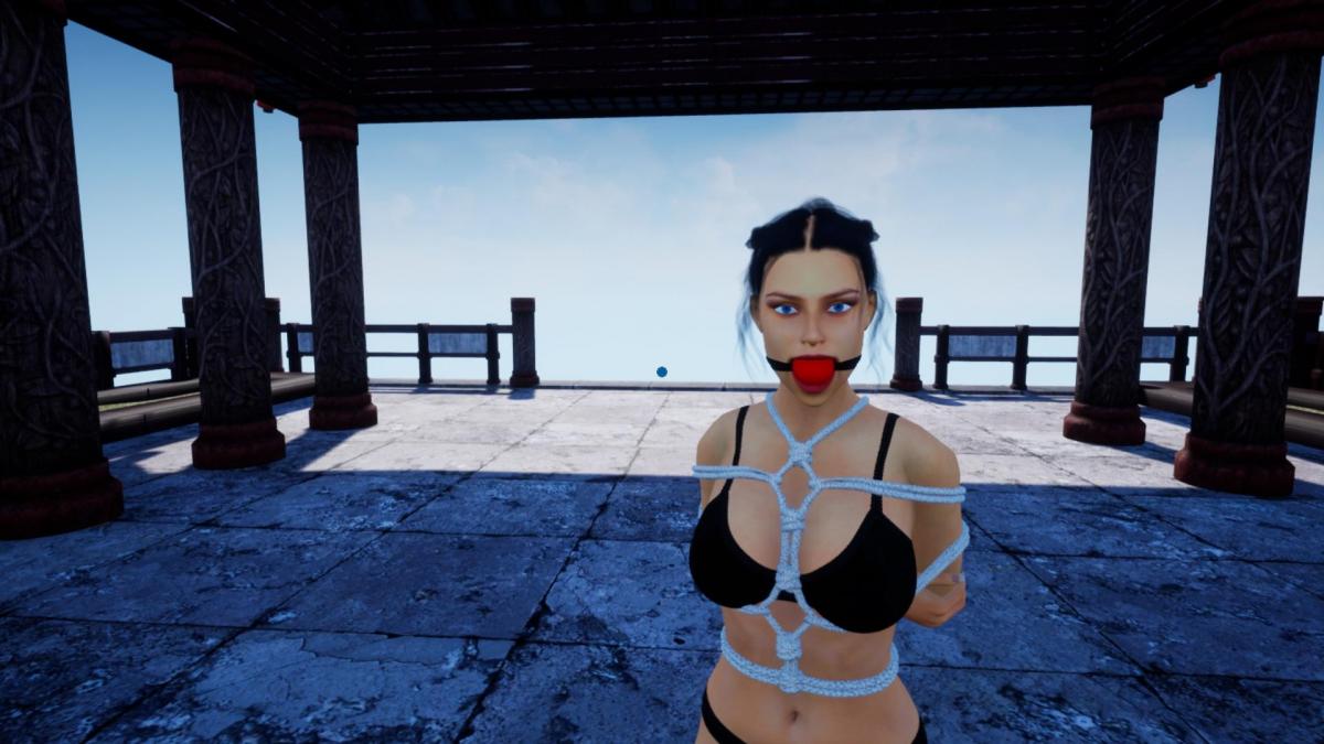 Shibari 2 PASE - A pause during which you can add ropes. You can control ropes in the lower left part of the screen.(此作品为游戏资源)<br><br>More information