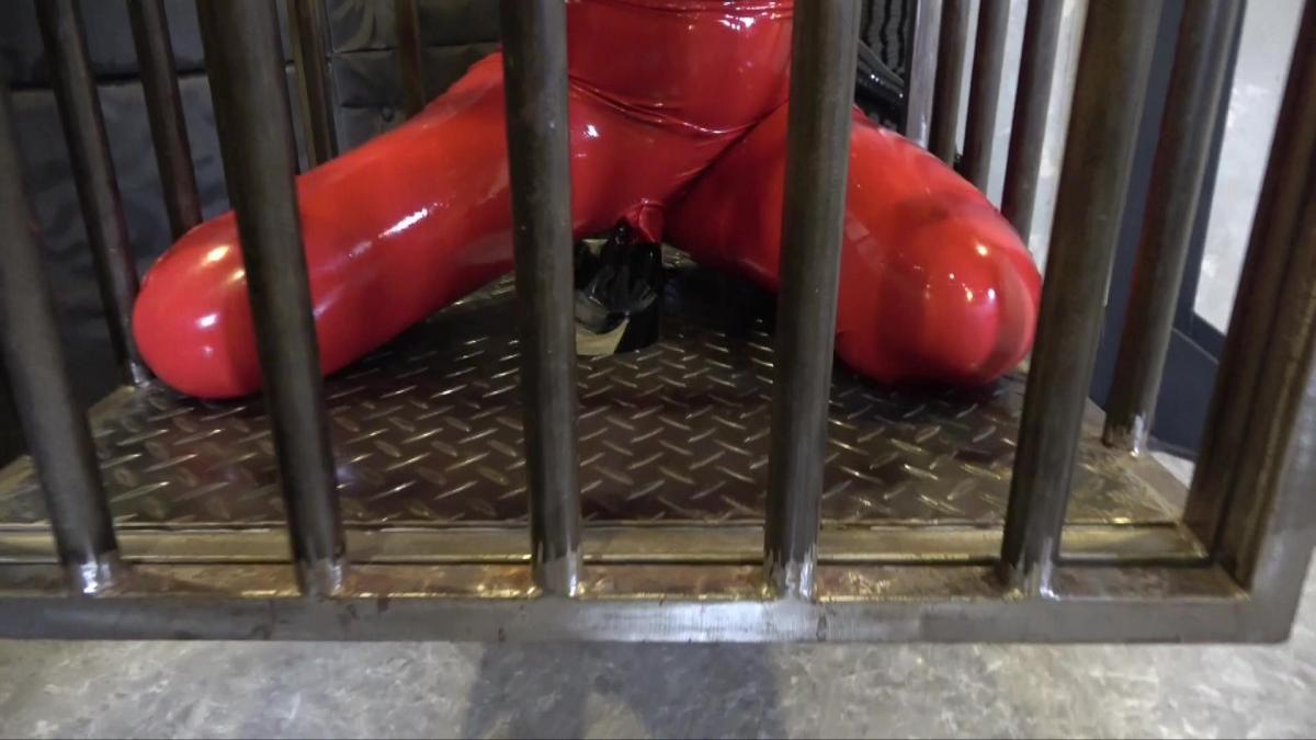 Rubber Fetish Dream〜囚われのラバーガール固定器具責め〜 秘密の地下室に囚われたラバーガール。固定器具で身動き出来ない状態での容赦ない責めが続く中、段々と自由に動けない状態での快楽に堕ちていくラバーガール。<br><br>被囚禁在秘密地下室的橡胶女孩。在用固定器具不能动弹的状态下毫不留情的责备持续中，渐渐堕落为不能自由动弹的状态下的快乐的橡胶女孩。<span style='color:#b0b0b0;'>[隐藏文字，购买后可见]</span>