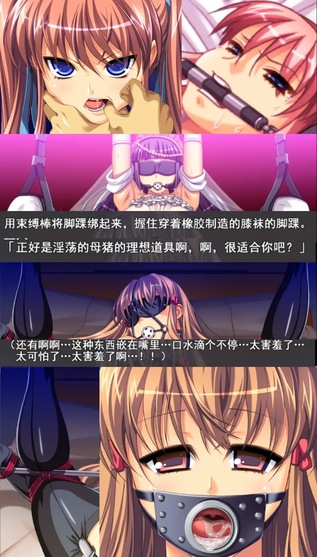 饗宴の赤 〜読心調教録〜(精翻中文+全CG存档） SM调教游戏---读心调教录<br>钟表社作品，这个社团的作品一般都带有对人性的讨论之类的哲学话题<br>但是变态的地方（指玩法）也一个不差<br>所以本作也是理所当然的黑暗向作品，重口调教 凌辱调教 badend是作品的主基调<br>---------------------------------------------------------------------------------------------------------------------------------------------------------<br>更多的有关于BDSM的游戏抑或是其他恋物游戏可以点击我的视频，进我发布的视频主页查看<br>我会不定时更新内容，如果有什么建议或者您想玩的什么游戏，可以私信或者直接在视频下方留言<br>注意事项：<br>1.解压密码默认没有，有的话提取码就是<br>2.请不要在线解压，请不要在线解压，请不要在线解压，重要的事情说三遍<br>3.个别用户压缩包使用自带的压缩软件如果无法解压请下载《360压缩》进行解压，因为我是用360压缩软件进行生成的压缩包，此软件百分百解压<br>4.下载完成后是后缀为.111或者其他什么稀奇古怪的后缀的文件，需要右键点击重命名改后缀，将他改成.7z才可进行解压，如最后三张截图所示，中间那步点是<br>5.因为网盘等问题被和谐，直接在评论里面和我说一声补档即可，一般会在3天之内补上，另外，关于PC端和手机端游戏的问题，大部分发布的都是PC端游，也有一些手机端，如果是手机端游戏，我会在文中或者标题特别说明，其次，手机端还分为安卓和苹果两个系统，两端不可互通（PC同理，win和mac）<br>---------------------------------------------------------------------------------------------------------------------------------------------------------<br>(怎么改文件后缀)<br>下面的是百度百科的原话<br>修改文件后缀名的方法主要涉及显示文件扩展名、重命名文件以及使用命令行工具。以下是具体步骤：<br>（1）显示文件扩展名：首先，需要确保文件扩展名是可见的。<br>在Windows系统中，可以通过打开“此电脑”或任意文件夹，点击菜单栏中的“查看”选项，然后勾选“文件扩展名”来显示文件后缀。<br>（2）重命名文件：一旦文件扩展名显示出来，就可以通过重命名文件来修改后缀名。选择需要修改后缀名的文件，右键点击并选择“重命名”<br>然后直接在文件名后面添加或修改后缀名。完成后，按回车键确认修改。<br>（3）使用命令提示符：对于批量修改或更复杂的操作，可以使用命令提示符（cmd）。<br>打开cmd窗口，使用“ren”命令来批量修改文件后缀名。例如，要将当前目录下的所有.txt文件改为.doc，可以输入“ren *.txt *.doc”。<br>注意事项：修改文件后缀名可能会影响文件的打开方式和系统对文件的识别。<br>确保新后缀名与文件的实际格式相匹配，否则可能导致文件无法打开或数据损坏。<br>如果不确定文件的原始格式，建议先备份原始文件。<br>对于特定操作系统（如Windows 11）或设备（如iPhone、苹果电脑）<br>操作步骤类似，但可能有些许差异，特别是在显示和修改文件扩展名的具体步骤上。<br>