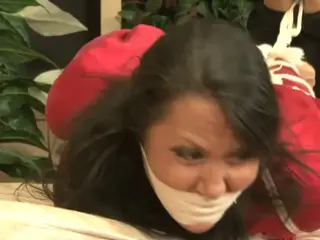 Gina reports her toe tied sole bound bound and gagged robbery Ms. Michaels speaks with a detective at the local police department and gives all the details of a robbery that happened at her residence. The detective must have all of the details that she can remember about the incident so that he can create a profile of the perpetrator and solve the crime. She begins to tell him everything and as she speaks, you see all the action as it happened. She talks in detail about being hogtied, with her soles bound and big toes tied. She tells about the massive packed mouth gag that was wrapped in tight and how muffled and helpless she felt.