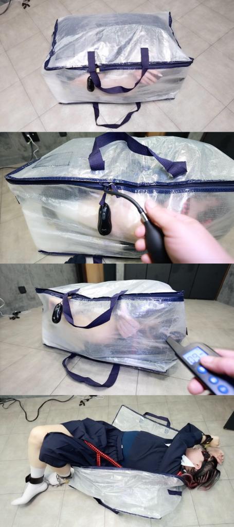 10分〜【JK袋詰め閉じ込め拘束】complete plan 把JK制服小M装进透明行李袋，戴着充气口球，线控眺蛋，还有遥控电击器，狠狠一顿折磨。<br><br><span style='color:#b0b0b0;'>[隐藏文字，购买后可见]</span>