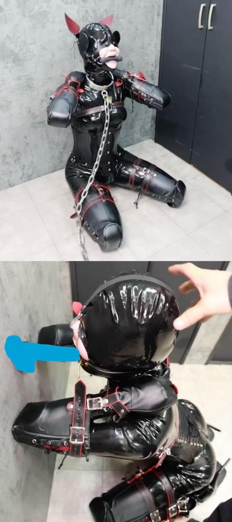 10分〜【ヒトイヌ拘束イラマ責め】complete plan 胶衣小奴被主人从笼子里拉出来折磨。<br>先来一顿踩踏，再用快乐棒强高玩弄，随后换上开口器，用假丁强制深喉。<br><br><span style='color:#b0b0b0;'>[隐藏文字，购买后可见]</span>