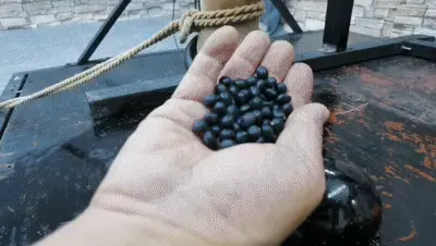 提审人贩子李然,,李然拒不承认犯罪事实,那就把她禁锢起来折磨,高跟鞋里放铁豆,最后在高强度电击挣扎中昏死过去...... 解压密码hdsy<br>提审人贩子李然,,李然拒不承认犯罪事实,那就把她禁锢起来折磨,脚带沉重铁球脚镣,高跟鞋里放铁豆,丝袜用水湿透,电击鞭电量增强,然后把郊狼电击升到276,被折磨喊叫的受不了,对于这种人贩子手下决不留情,最后在高强度电击挣扎中昏死过去,这就是贩买人口的下场......<br>定拍交流绳模应聘请加QQ2032433381没有定拍能力的和伪女谢绝咨讯