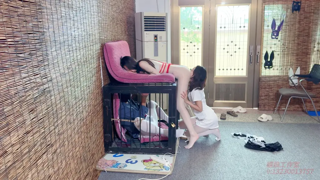 媚娘工作室-伪娘被反复强G-双S互玩爽到湿(全国巡游 30号到达北京） 媚娘工作室<br>v：13230013757（全国巡游 30号到达北京 双s 一个陪玩女模特）<br>线下T验 线下陪玩 私人定制 全国上课<br>  伪娘体验线下，两层白色丝袜，刚在地上玩完，被瑾年主人要求进入到笼子里，手和腿被固定，无法动弹，书瑶和瑾年一人拿一个ZD棒，刺激伪娘的X体，将两个ZD棒固定在丝袜里，反复强高。随后，瑾年对伪娘说：”J狗在下面玩着，我们两个主人在上马玩着“，瑾年拿出一个垫子，放在笼子上面。慢慢褪去书瑶的衣服，拥抱着亲吻着，然后让书瑶上去，玩弄她的花园，用ZD棒刺激她的[X_X]，又将zd棒放在两人xt中间，上上下下的摩擦着，书瑶淫叫不断，伪娘也起了反应，用腿摩擦着瑾年的腿，瑾年把脚伸进笼子里，摩擦着他的XT。瑾年和书瑶一会在上面，一会站在笼子面前，被玩弄着，伪娘只能眼看着，听着，反应不断，最后瑾年和书瑶，躺在笼子面前，做起羞耻的事情，就在伪娘面前，书瑶害羞的浪叫着，但是依旧十分享受.....