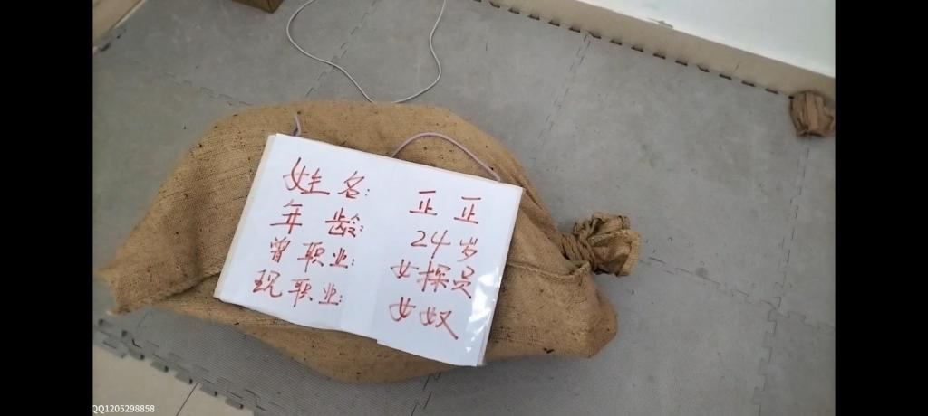 人贩表哥3-落网的女探员 在这里先感谢大家支持，还有精致工作室的精彩演出，再次向大家安利一下他们，真的是一家非常不错的工作室老板人也很好。只要大家喜欢人贩表哥这个系列就会一直更下去。<br>本片讲述的JC已经找到了人贩表哥的线索，所以专门派了最优秀的女探员前去寻找线索，捉拿人贩表哥，而结果是人贩表哥成功落网还是漂亮的女探员成为下一个失踪的女性，就由大家慢慢欣赏了。本片的元素除了，紧缚，麻袋，堵嘴这些常规的之外还加上了吊绑（另外正正的闷叫声真的挺独特的，听着让人很有感觉，并且制服配吊带也是一次新鲜的尝试）。希望大家喜欢