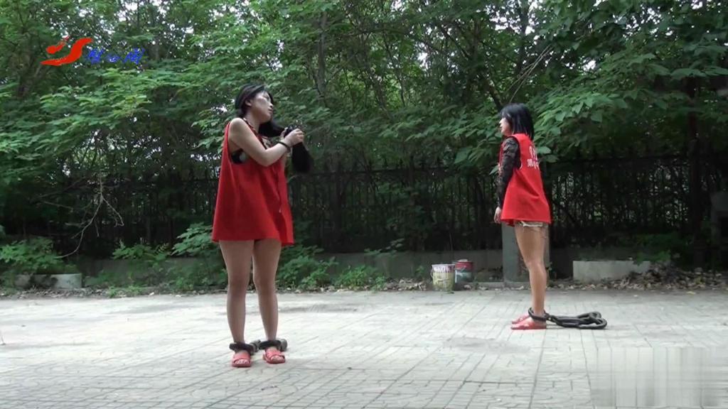 雅俗阁 恋爱骗局(思丝·雅静·雅萍) 由雅俗阁拍摄：讲述了3个女囚犯利用色诱，交往男朋友，通过境外人贩子团伙将男朋友拐卖到境外诈骗团伙，从中获取暴利。多次作案后最终被逮捕，以后一人被判有期，两人经过审讯后，情节恶劣，经过审判，关押，验明真身后被执行<span style='color:#b0b0b0;'>[隐藏文字，购买后可见]</span>