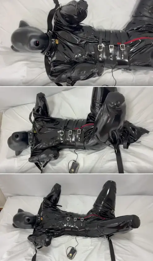 ヒトイヌのおやすみの時間 <span style='color:#b0b0b0;'>[隐藏文字，购买后可见]</span><br>电流在随机时间从电极流出1至3分钟<br>人狗的四肢和项圈被固定在床上，不可能起身或取下电极<br>k9、人形犬、犬缚、犬奴、乳胶、乳胶紧身衣、全包头套、乳胶头套、拘束、郊狼、皮带
