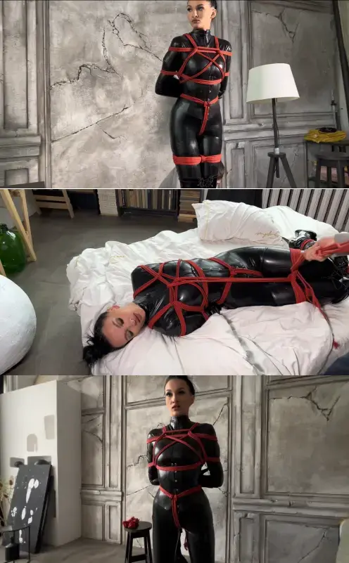 The Art of Shibari <span style='color:#b0b0b0;'>[隐藏文字，购买后可见]</span><br>紧缚、捆绑、绳缚、束缚、乳胶、乳胶紧身衣、绳缚、胸缚、后手缚